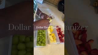 Dollar Tree Find  Organization dollartree organization vlog [upl. by Trinidad]