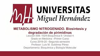 Lec033 Metabolismo nitrogenadoBiosíntesis y degradación de pirimidinas umh1024 20192020 [upl. by Ennaer]