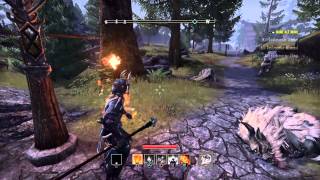 ESO Shalidors lorebook locations mages guild skill line [upl. by Lirbaj239]