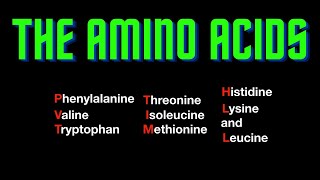 USMLE Step 1  Lesson 62  The amino acids [upl. by Enale]