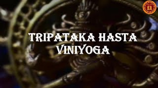 Tripataka hasta Viniyoga along with picturesasamyuta hasta kalakshetra bharatanatyam hastamudras [upl. by Geoffry]