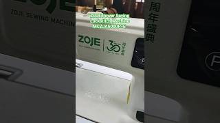 ZOJE Power Saving Lockstitch Machine MCZJA6000PG [upl. by Dix]