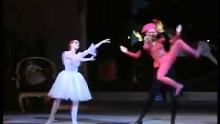 1989 Bolshoi Ballet Nutcracker excerpts 312 by GrigorovichTchaikovsky  The Nutcracker Doll [upl. by Conant]