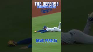 Dodgers DEFENSE Cut No 1 mlb dodgers defense [upl. by Cacka]