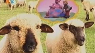 Nick Jr Sheep’s Astro Farm Coming Up Next UK [upl. by Adnirolc]