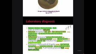 Microbiology particleEnterobacteriaceae SalmonellaShigella [upl. by Thielen]