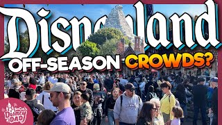 How Crowded is Disneyland in the OffSeason  January 2024 Wait Times [upl. by Virgie127]