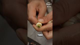 How To Enjoy Lotus Seeds [upl. by Kyrstin]