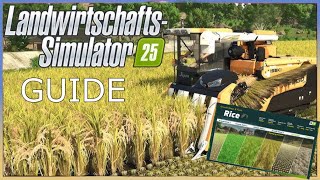 LS25Reis Guide für Anfänger  GUIDE Rice Deutsch LANDWIRTSCHAFTS SIMULATOR 25 [upl. by Grimonia884]