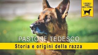 Pastore Tedesco  Storia e Origine della razza [upl. by Neerhtak]