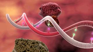 DNA Mutation 3D Animation [upl. by Eimam104]