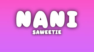 Saweetie  NANi Lyrics [upl. by Onateag418]