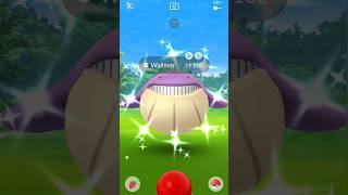 Yes bro Shiny Wailmer in Pokémon Go yesbro pokemon shiny wailmer pokemongo shinypokemon [upl. by Chickie366]