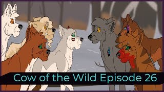 Cow of the Wild Episode Twenty Six [upl. by Ayidan]