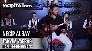 Necip Albay  Takvim Yaprağı Canlı Performans [upl. by Brander370]