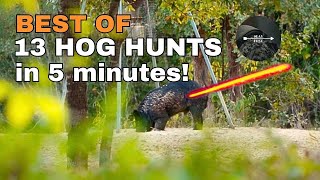 13 Wild Hog Hunts in 5 Minutes  Bow Hunting Hogs [upl. by Weathers]