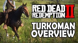 Turkoman Overview  Red Dead Redemption 2 Horses [upl. by Janina]