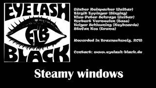 Tina Turner  Steamy windows Cover by Eyelash Black [upl. by Tnarud]