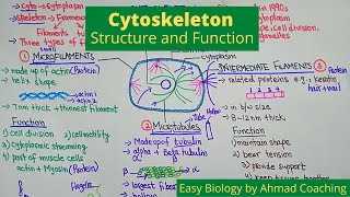 Cytoskeleton Structure and Function  Role in Motility [upl. by Ajuna]