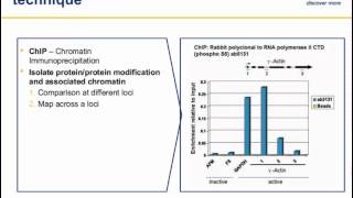 Chromatin Immunoprecipitation ChIP principles and troubleshooting [upl. by Robson]