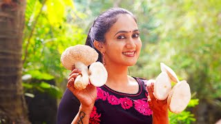 ഒരു അടിപൊളി ചില്ലി മഷ്റൂം  How To Make Chilly Mushroom At Home  Anu Joseph [upl. by Patience]