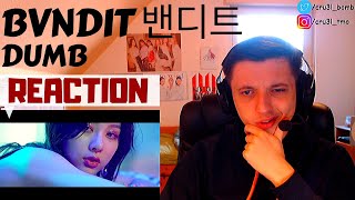 FIRST TIME REACTION  밴디트 BVNDIT  Dumb MV [upl. by Gretel]