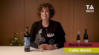 Casa Mariol Syrah 2015  Celler Mariol [upl. by Ree764]