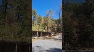 Smoky Mountains Fall leaves update 102124 Hallstophangout come stay in our cabins [upl. by Ellon]