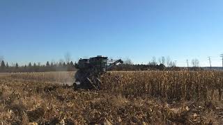 Gleaner CII in corn [upl. by Aneek629]