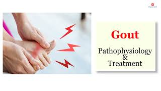 Gout  Definition pathophysiology and Treatment options [upl. by Nivaj64]