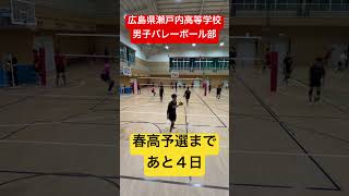 春高予選まであと４日 shorts 瀬戸内高校男子バレーボール部 春高バレー [upl. by Mackey]