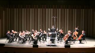 Variations on a Theme of Tchaikovsky for String Orchestra — Anton Arensky [upl. by Rusell]