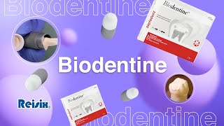 ¿Cómo utilizar Biodentine de Septodont  Reisix [upl. by Retsevlis]