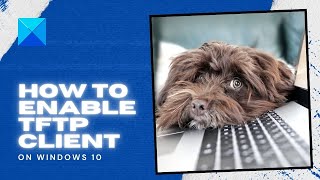 How to enable TFTP client on Windows 10 [upl. by Loginov]