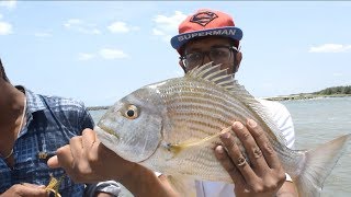 White Snapper Fish catch  How to Fishing Tamil Episode 1 [upl. by Suzy]