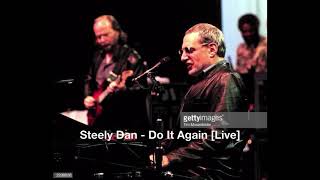 Steely Dan Do It Again Live [upl. by Mcgray]