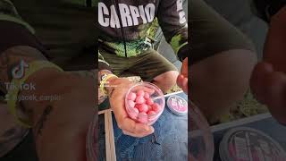 Zaczynamy fishing foryou carpfishing outdoors shorts carpangler nature relax [upl. by Arima]