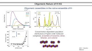 Phase Separated Condensates from Oligomeric Protein Assemblies by Athi N Naganathan [upl. by Adham861]