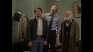 Only Fools and Horses  You Plonker [upl. by Sax]