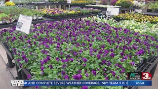 Prep plants for colder weather with Smiths Gardentown [upl. by Pratte]