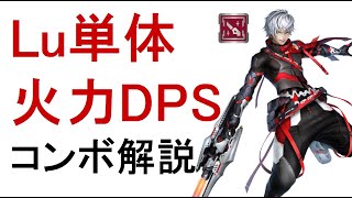 【PSO2】ラスター単体最強火力DPS・エンハンスコンボ完全解説 [upl. by Jean-Claude]