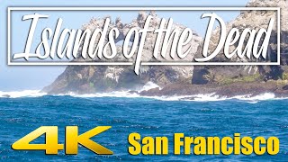 The Islands of the Dead  San Francisco and the Farallon Islands 4K [upl. by Sibel]