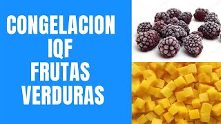 🧊🧊 FRUTA Y VERDURA CONGELACION SISTEMA IQF 🍎🍐🍍🥦 [upl. by Nirihs503]