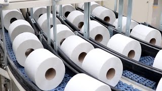 COMO se HACE el PAPEL HIGIÉNICO en ROLLO🧻 ASÍ se PRODUCEN 83 MILLONES de ROLLOS de PAPEL HIGIÉNICO [upl. by Tor805]