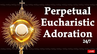 Perpetual Adoration Live  Eucharistic Adoration 247 [upl. by Ymrots]