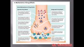 Neurotransmitters Chemical Communicators subscribemychannel subscribers Bpharm and Dpharm [upl. by Nomis]