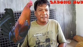 Husay ng Isang Handler ng Manok [upl. by Gradey]