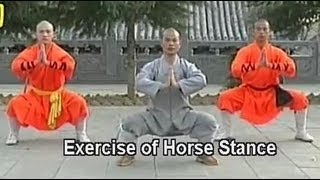 Shaolin Kung Fu basic moves [upl. by Enelam664]