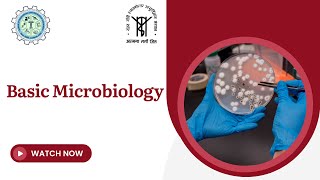 Basic Microbiology [upl. by Lleval]