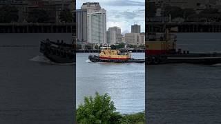 Tugboat sails up Mississippi River past downtown New Orleans neworleans tugboat mississippiriver [upl. by Charissa898]